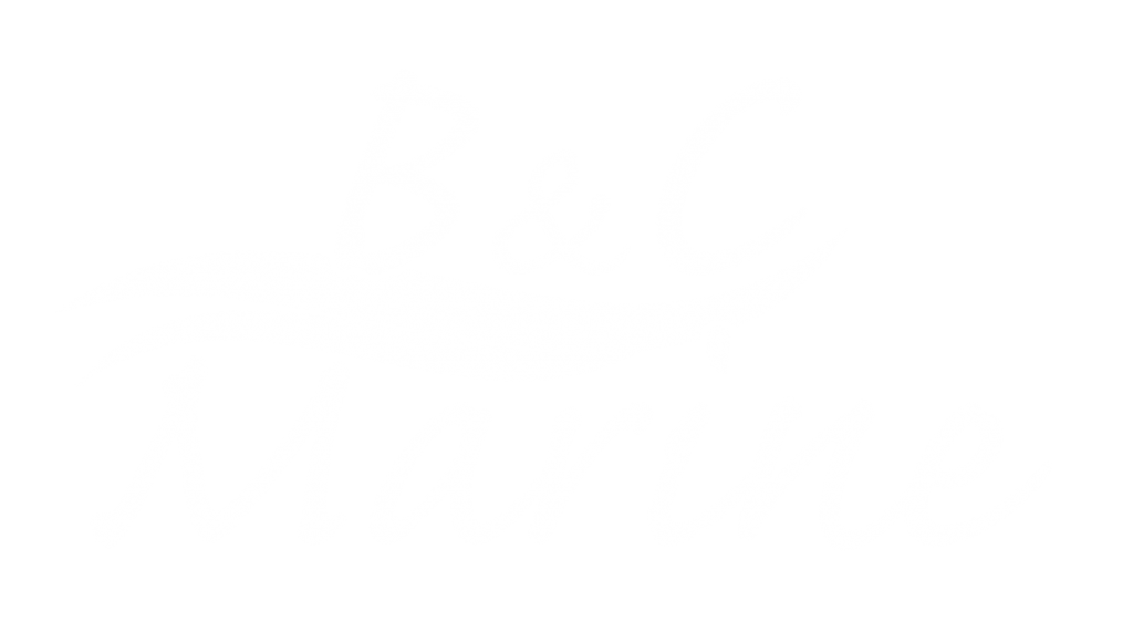 B&C marine logotyp vit